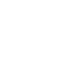 Discord Nitro
