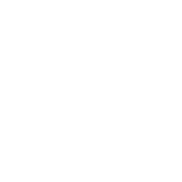X Premium