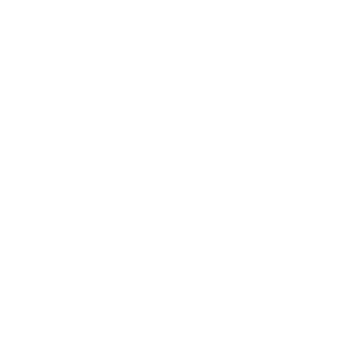 Discord Nitro